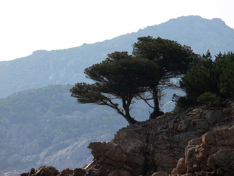 Porto Cervo