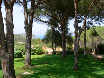 Porto Cervo